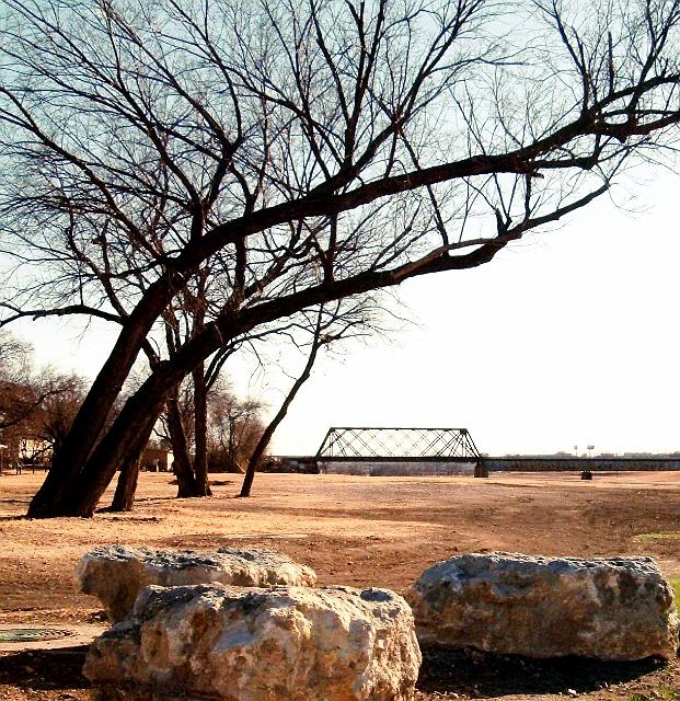 10992 Tree, rock, and bridge 